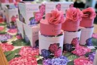 San Valentino 2 L'Erbolario AGHD  